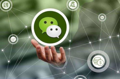 鄭州小程序開發(fā)的優(yōu)勢(shì)與價(jià)值